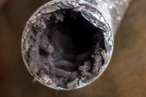 Best Affordable Duct Cleaning Services  in Iron River, MI