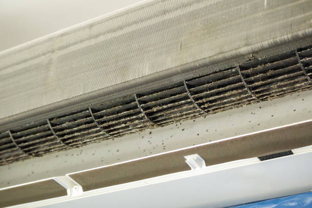 Best HVAC Air Duct Cleaning  in Iron River, MI