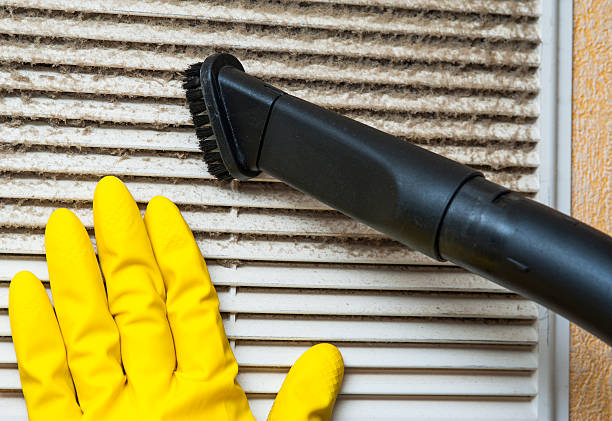 Best Home Air Vent Cleaning  in Iron River, MI